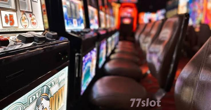 77slot Live Game Shows at 77slot